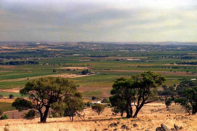 Barossa Valley